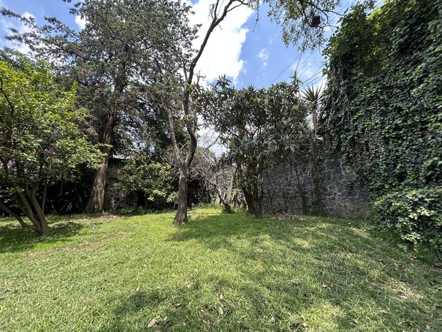place photo 39