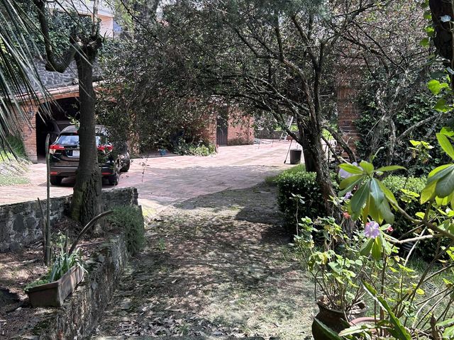 place photo 43