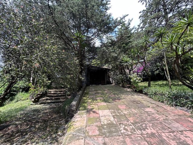 place photo 40