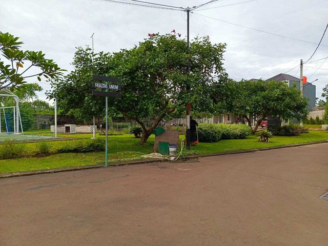 place photo 17