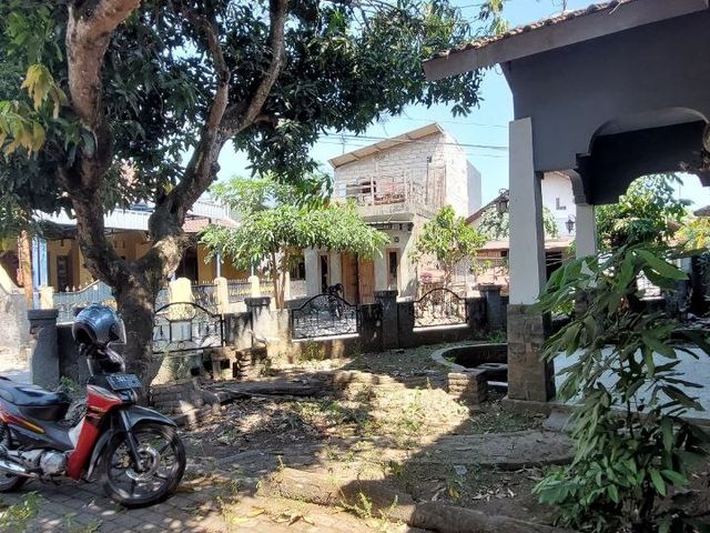 place photo 16