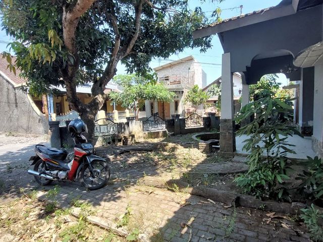 place photo 14