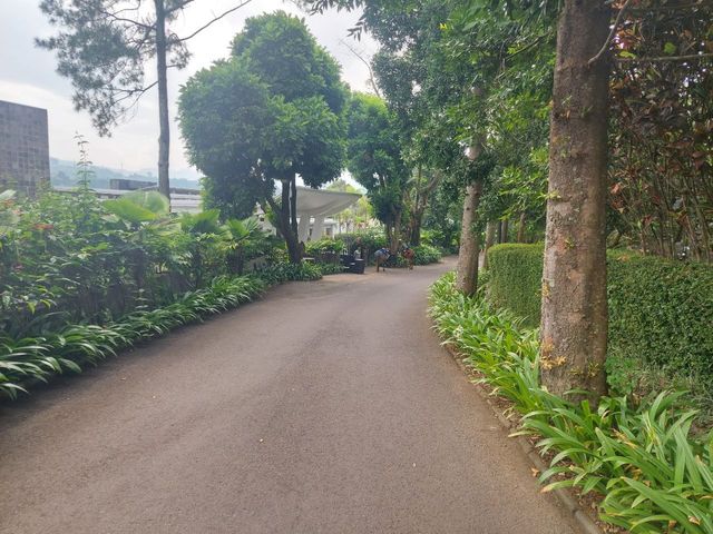 place photo 27