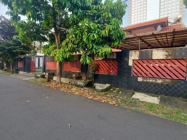 place photo 14