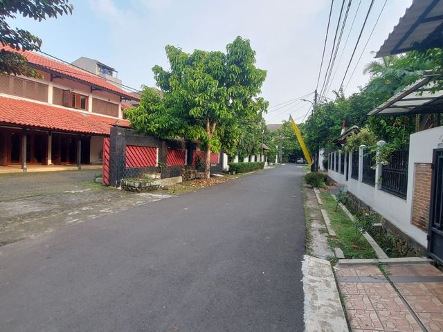 place photo 13