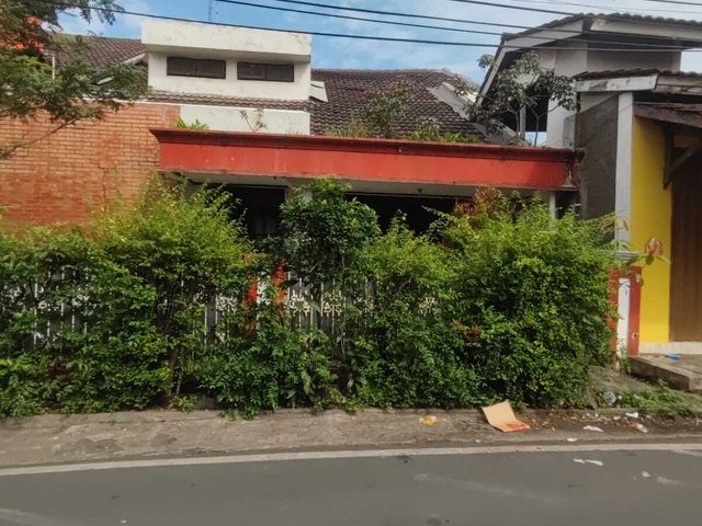 place photo 14