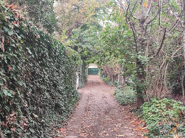 place photo 27