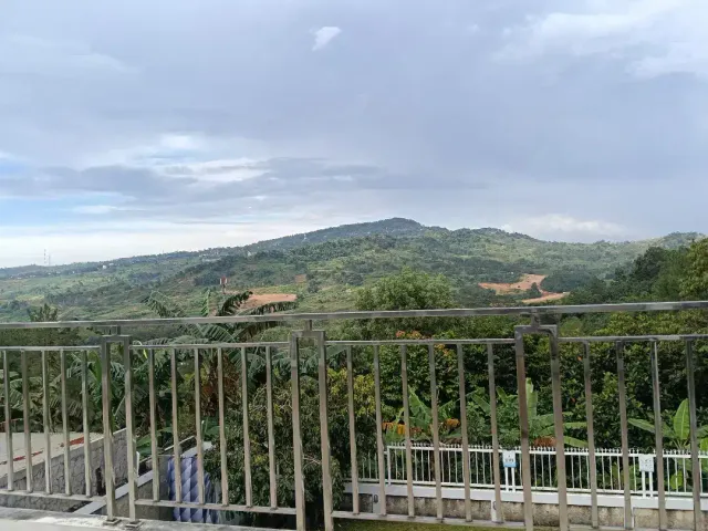 place photo 20