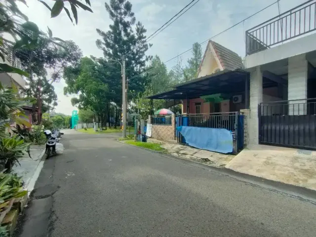 place photo 16