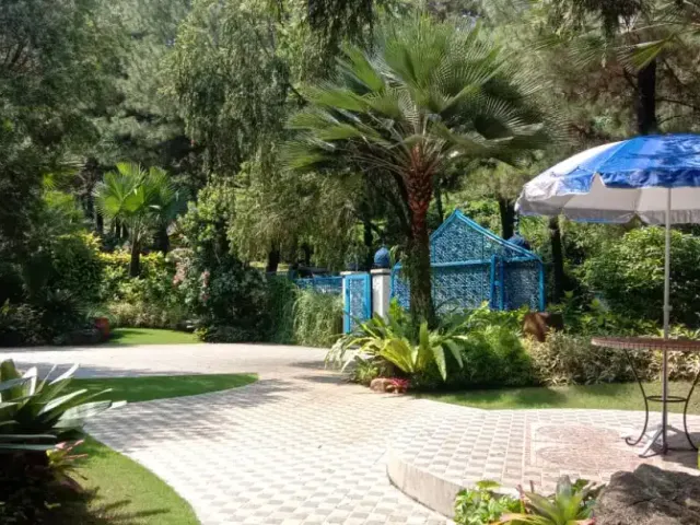 place photo 11