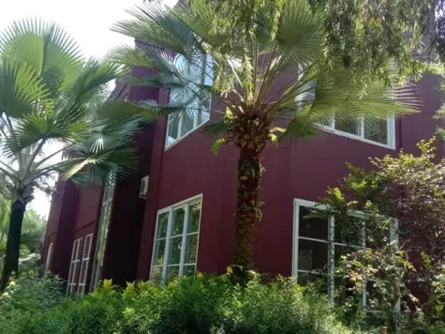 place photo 19