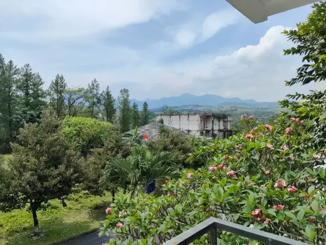 place photo 17