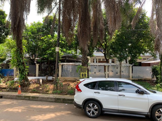 place photo 11