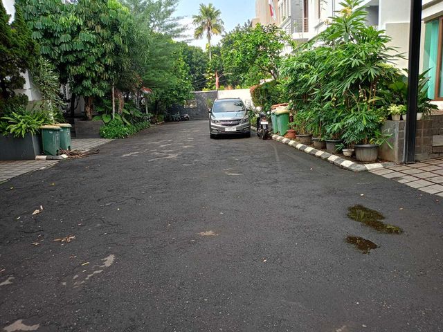 place photo 15