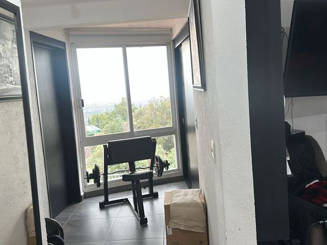 place photo 39