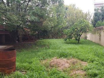 place photo 15