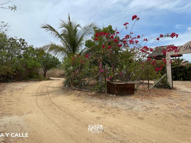 place photo 21