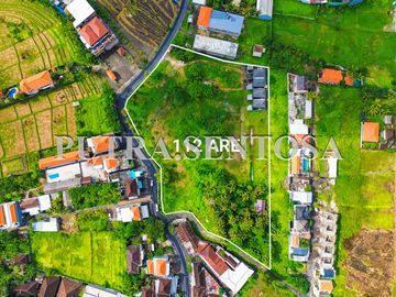 Beraban, Bali, TABANAN, Bali, Indonesia