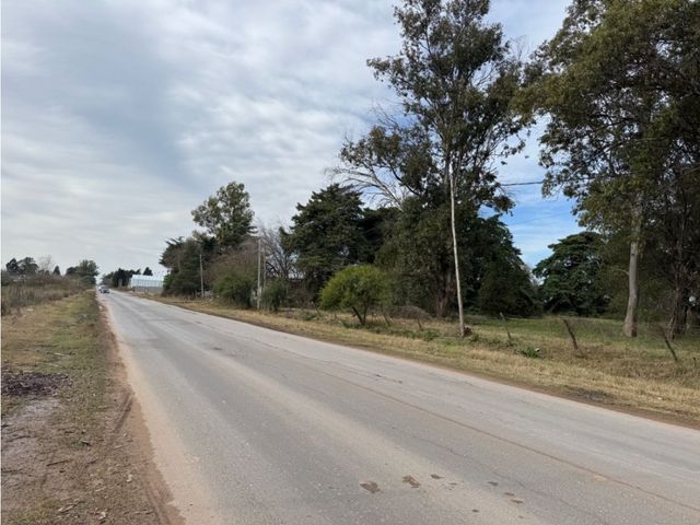 place photo 13