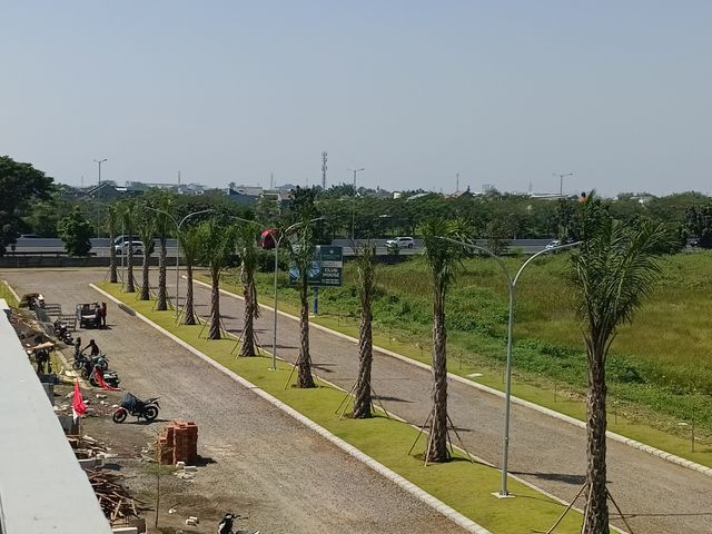 place photo 24