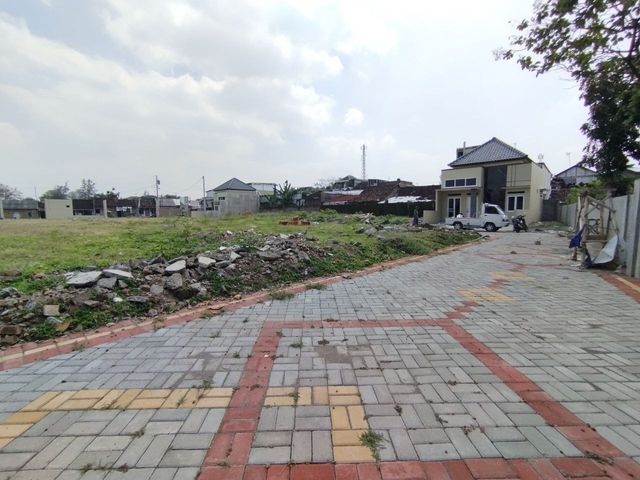 place photo 16