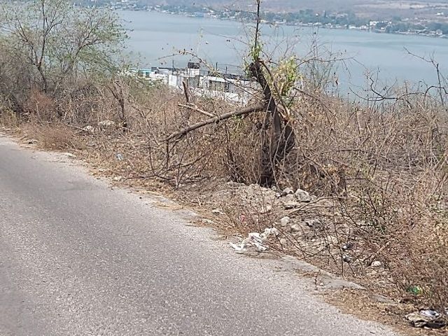 place photo 10
