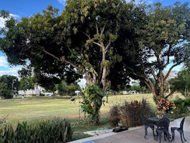 place photo 17