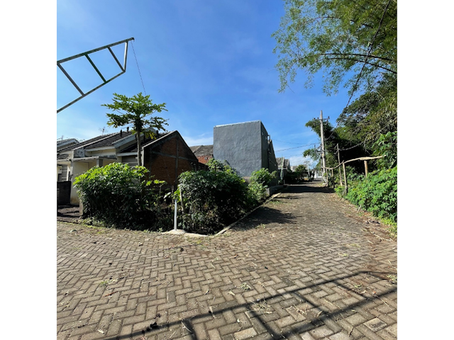 place photo 1