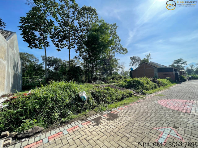 place photo 11