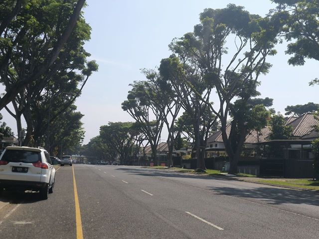 place photo 19