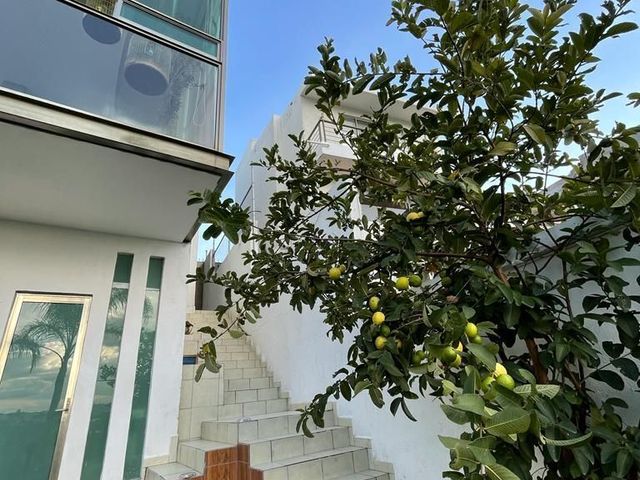 place photo 36