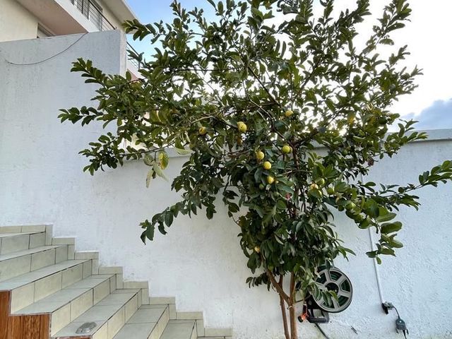 place photo 41