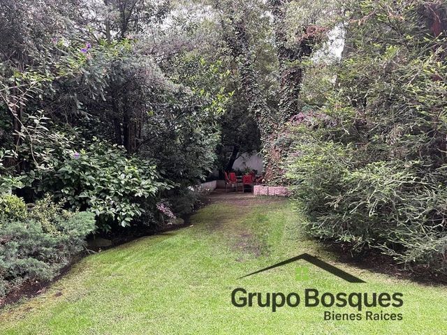 place photo 28