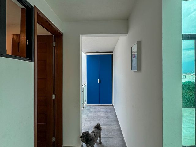 place photo 46