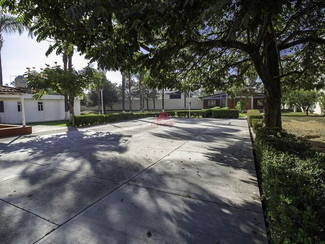 place photo 39
