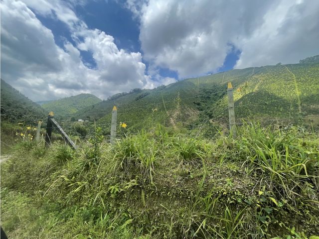 place photo 63