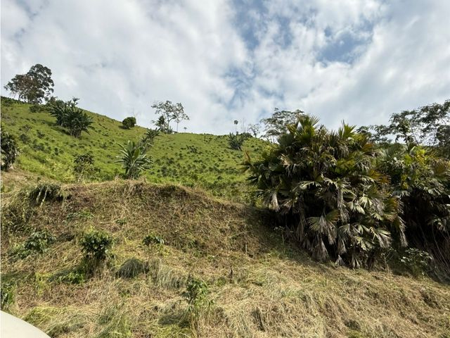 place photo 73