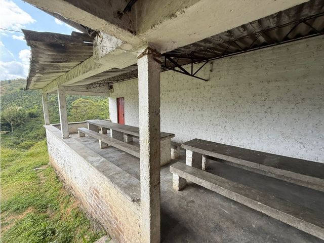 place photo 53