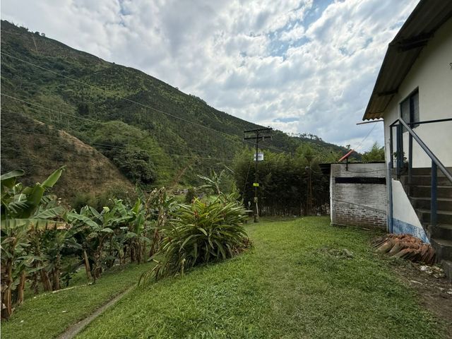 place photo 50