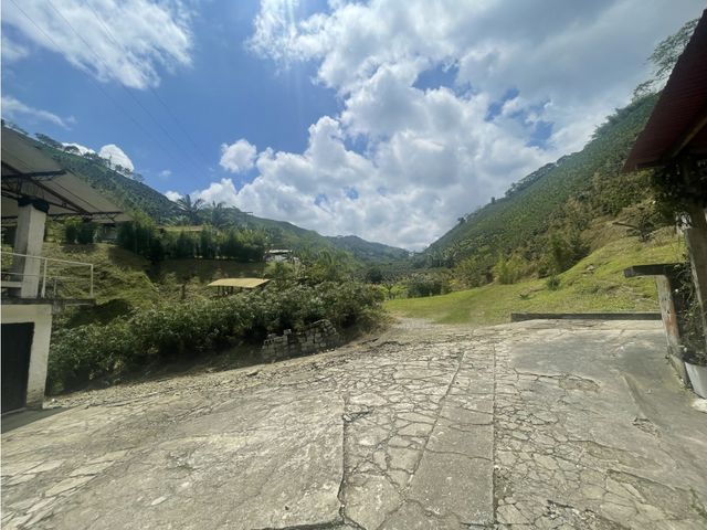 place photo 62