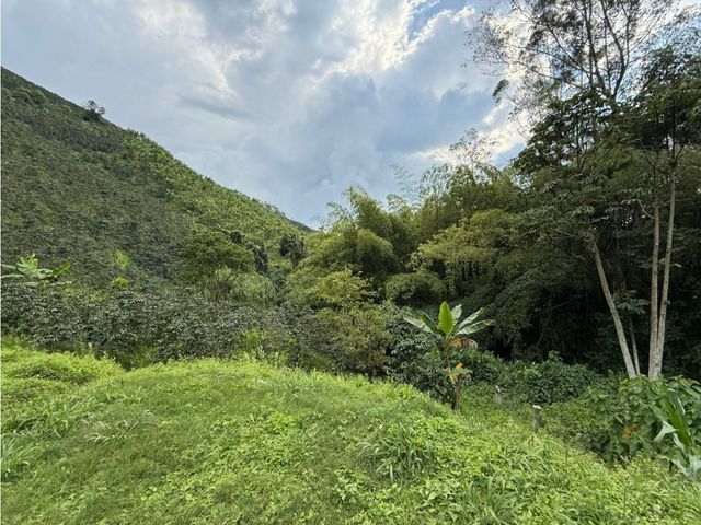 place photo 75