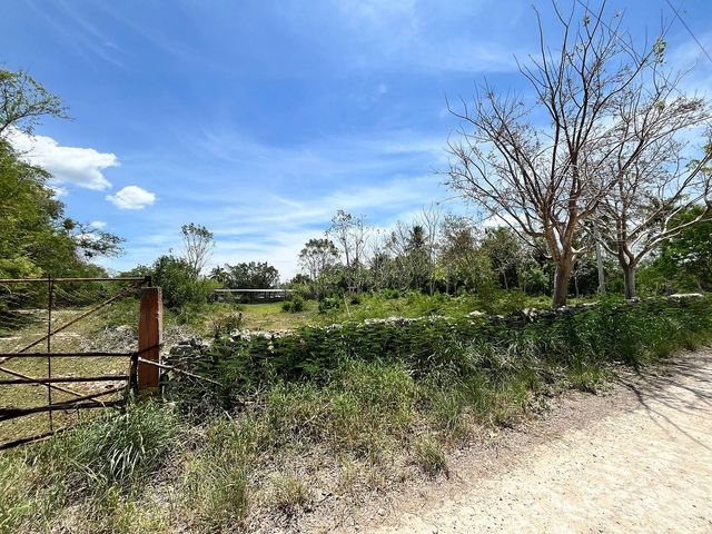 place photo 16