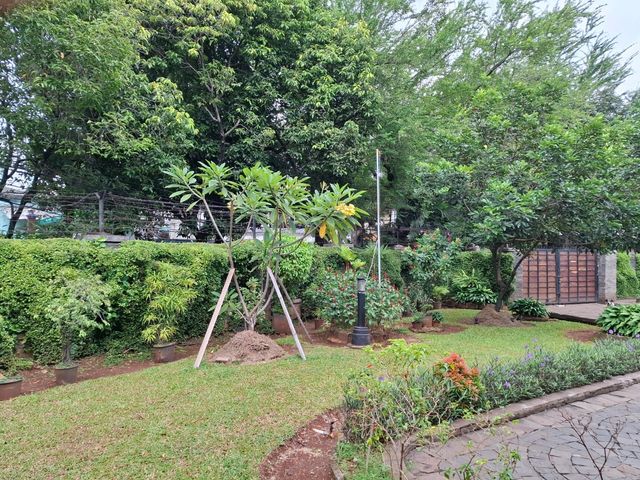 place photo 15
