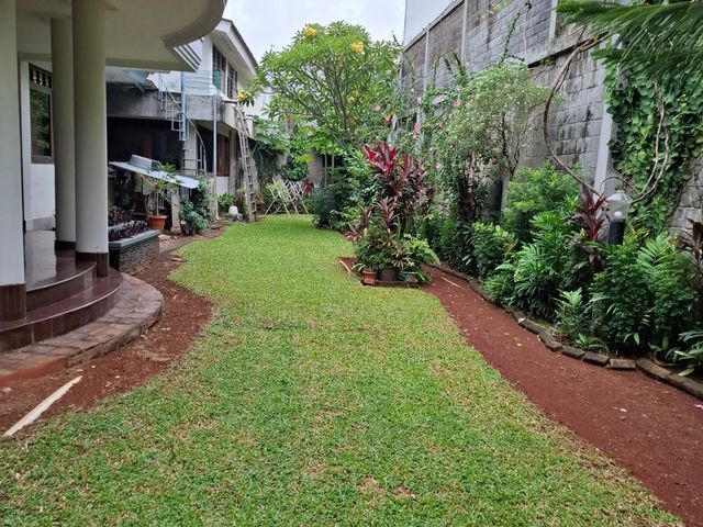 place photo 17