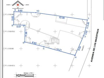 place photo 9