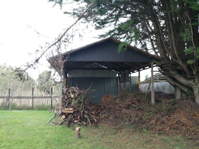 place photo 20