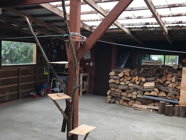 place photo 19