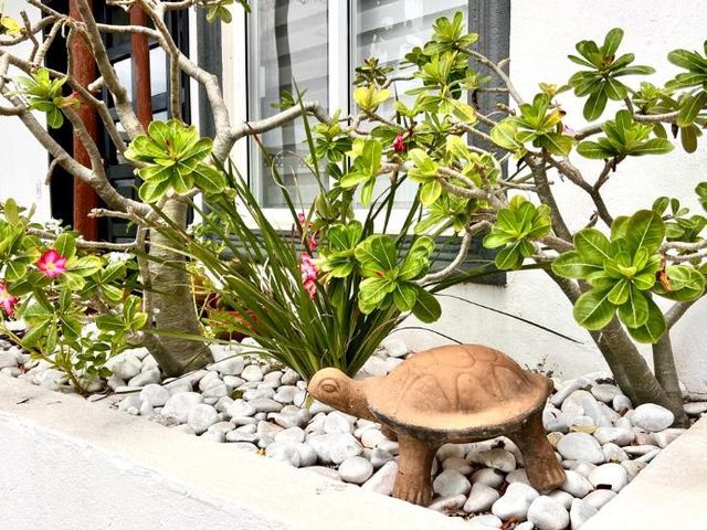 place photo 30