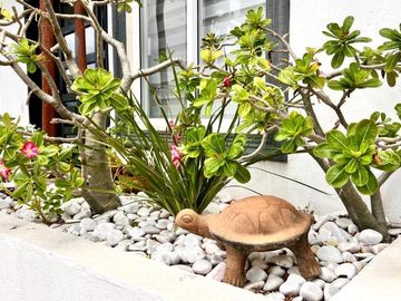 place photo 30