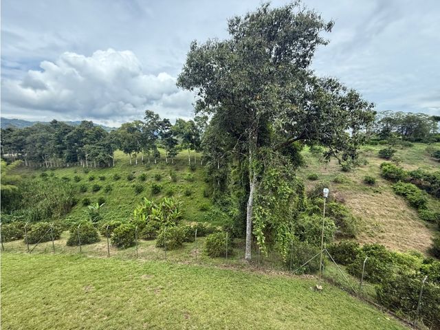 place photo 53